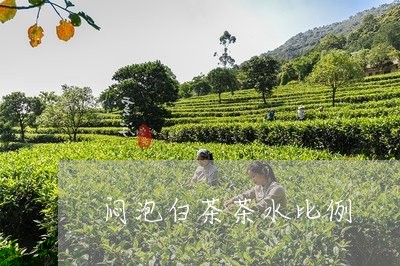 闷泡白茶茶水比例/2023071272614