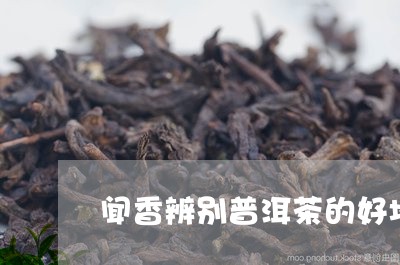 闻香辨别普洱茶的好坏/2023100782637