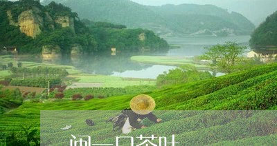 闽一口茶叶/2023041864594