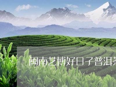 闽南艺博好日子普洱茶/2023062150381