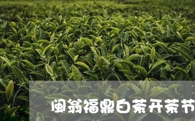 闽翁福鼎白茶开茶节/2023120370718