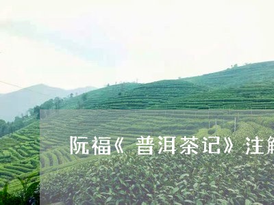 阮福《普洱茶记》注解/2023080297259