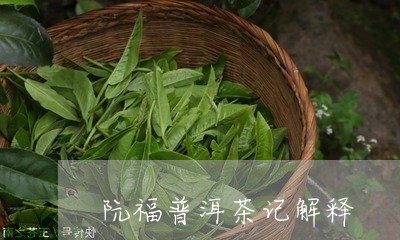 阮福普洱茶记解释/2023071129593