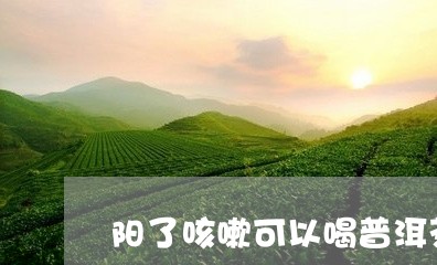 阳了咳嗽可以喝普洱茶吗/2023103175916