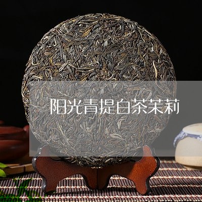 阳光青提白茶茉莉/2023071292706