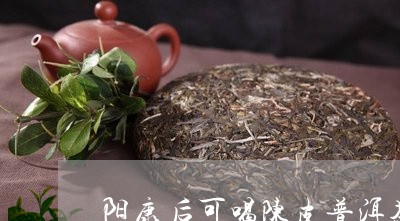 阳康后可喝陈皮普洱茶吗/2023102404935