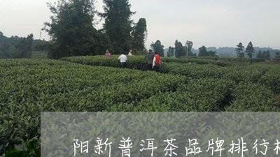 阳新普洱茶品牌排行榜十强/2023110835571