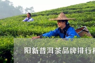 阳新普洱茶品牌排行榜最新/2023121810603