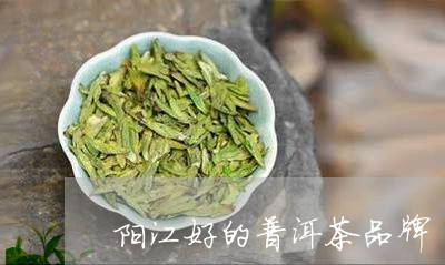 阳江好的普洱茶品牌/2023071162795