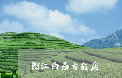 阳江白茶专卖店/2023061109604