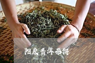 阳泉普洱茶饼/2023042891213