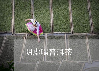 阴虚喝普洱茶/2023042785052