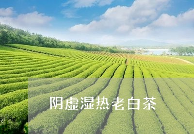 阴虚湿热老白茶/2023061169793