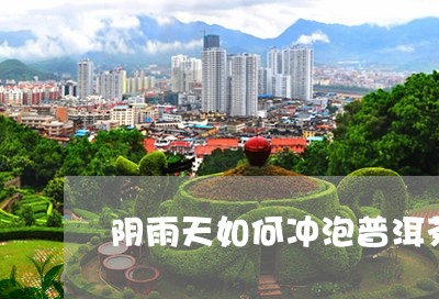 阴雨天如何冲泡普洱茶/2023062170584