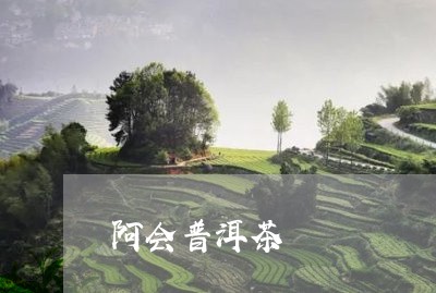 阿会普洱茶/2023081546160