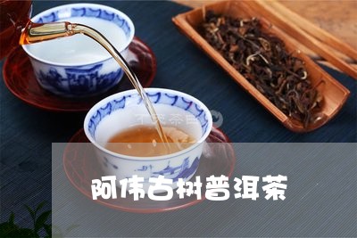 阿伟古树普洱茶/2023101659958