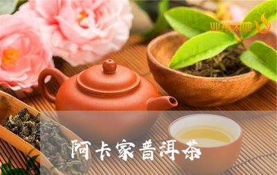 阿卡家普洱茶/2023042545978