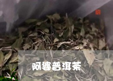 阿婆普洱茶/2023090566360