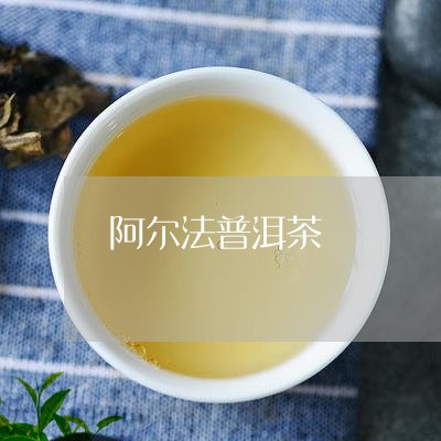 阿尔法普洱茶/2023042826849