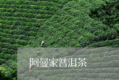 阿曼家普洱茶/2023042750028