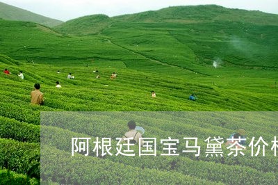 阿根廷国宝马黛茶价格/2023060960815