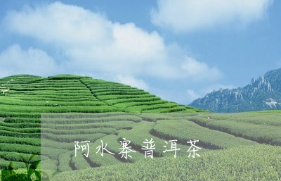 阿水寨普洱茶/2023042935925