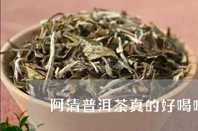 阿清普洱茶真的好喝吗/2023062323719