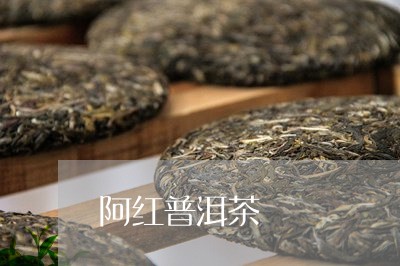 阿红普洱茶/2023081820493