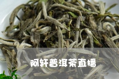 阿轩普洱茶直播/2023102682737