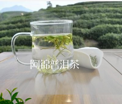 阿锦普洱茶/2023090614150