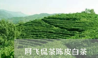 阿飞侃茶陈皮白茶/2023082631726