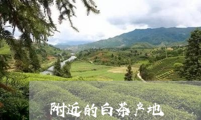 附近的白茶产地/2023061195928