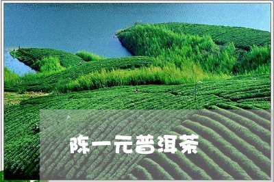 陈一元普洱茶/2023090661682