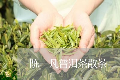 陈一凡普洱茶散茶/2023112694947