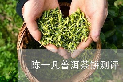 陈一凡普洱茶饼测评/2023112442726