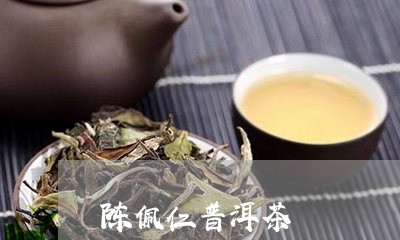 陈佩仁普洱茶/2023042517459