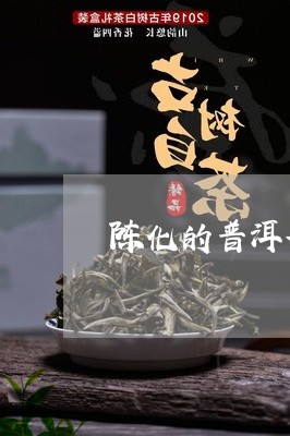 陈化的普洱茶/2023042818400