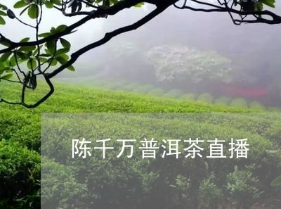 陈千万普洱茶直播/2023120338592