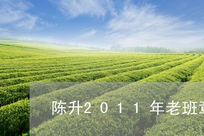 陈升2011年老班章/2023092480694