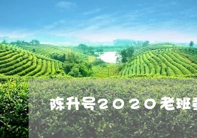 陈升号2020老班章125/2023052736591