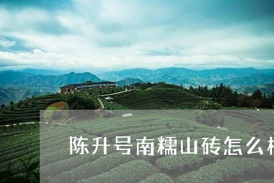 陈升号南糯山砖怎么样/2023071534039