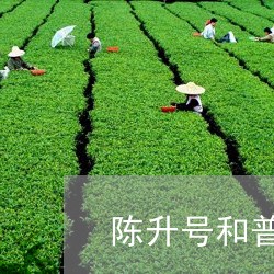 陈升号和普洱茶的区别/2023062425036