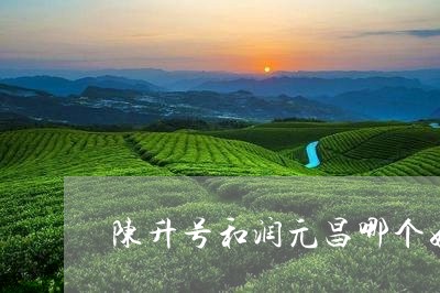 陈升号和润元昌哪个好/2023071518379