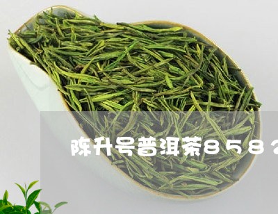 陈升号普洱茶8582/2023080375060