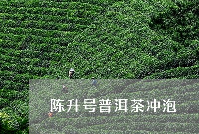 陈升号普洱茶冲泡/2023110885928