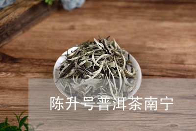 陈升号普洱茶南宁/2023083135059