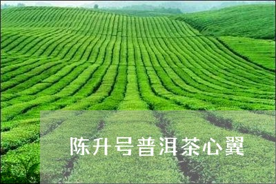 陈升号普洱茶心翼/2023110878250