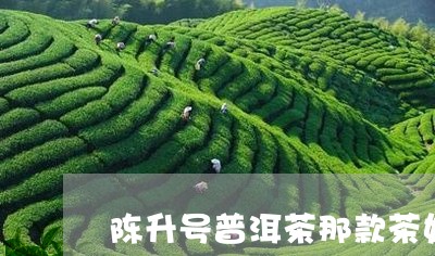 陈升号普洱茶那款茶好/2023080303907