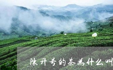 陈升号的茶为什么叫大树茶/2023051106250