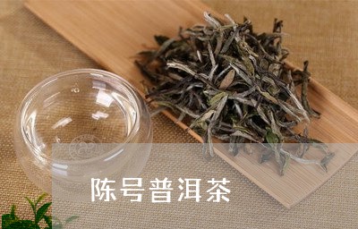 陈号普洱茶/2023090641683